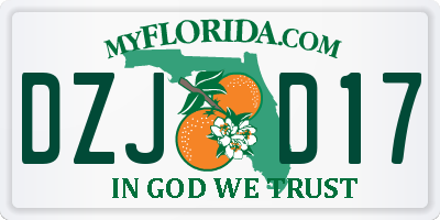 FL license plate DZJD17