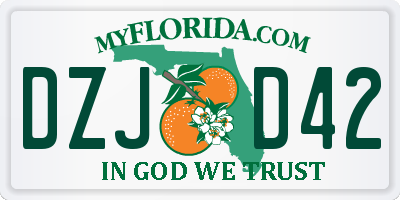 FL license plate DZJD42