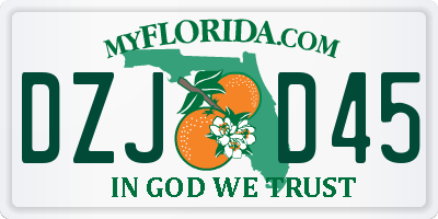 FL license plate DZJD45