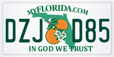 FL license plate DZJD85