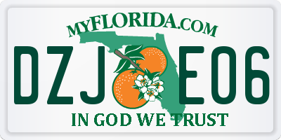 FL license plate DZJE06