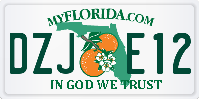 FL license plate DZJE12