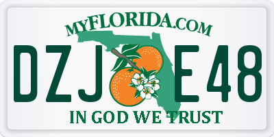 FL license plate DZJE48