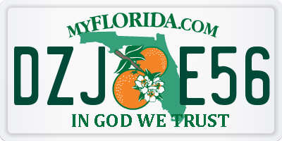 FL license plate DZJE56