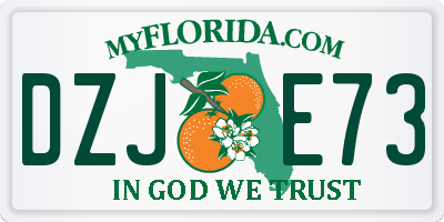 FL license plate DZJE73