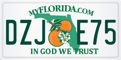 FL license plate DZJE75