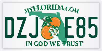 FL license plate DZJE85