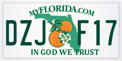FL license plate DZJF17