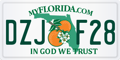 FL license plate DZJF28