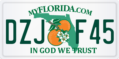 FL license plate DZJF45
