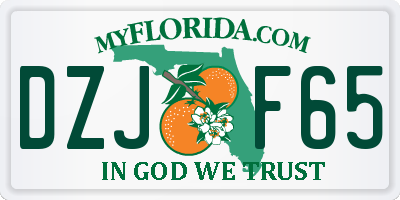 FL license plate DZJF65