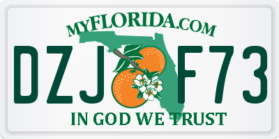 FL license plate DZJF73
