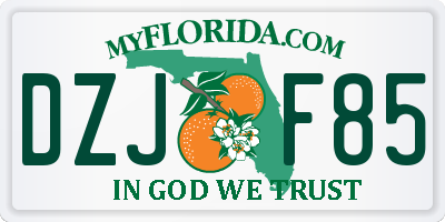 FL license plate DZJF85