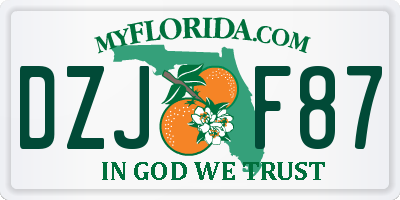 FL license plate DZJF87
