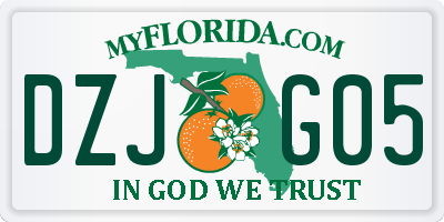FL license plate DZJG05