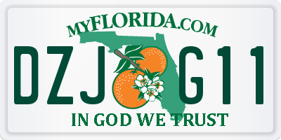 FL license plate DZJG11