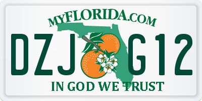 FL license plate DZJG12