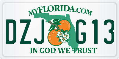 FL license plate DZJG13