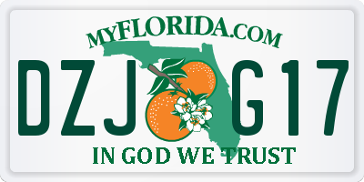 FL license plate DZJG17