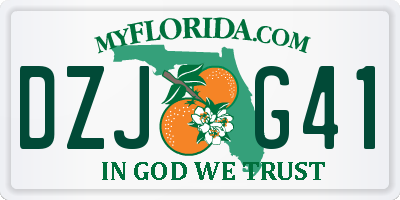 FL license plate DZJG41