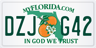FL license plate DZJG42