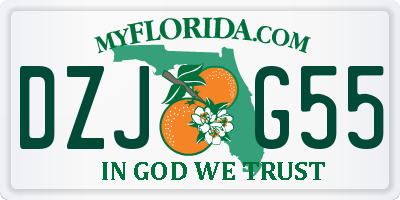 FL license plate DZJG55