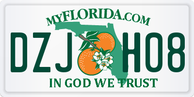 FL license plate DZJH08