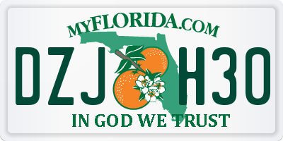 FL license plate DZJH30