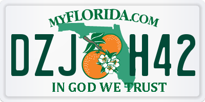 FL license plate DZJH42