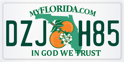 FL license plate DZJH85