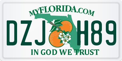 FL license plate DZJH89