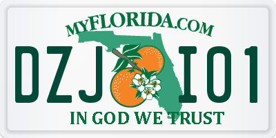 FL license plate DZJI01