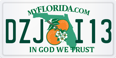 FL license plate DZJI13
