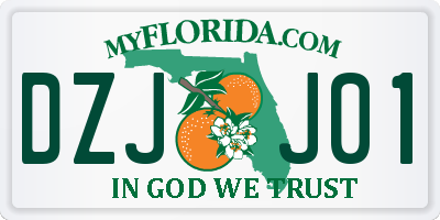 FL license plate DZJJ01