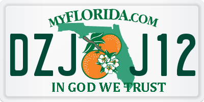 FL license plate DZJJ12