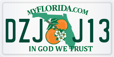 FL license plate DZJJ13