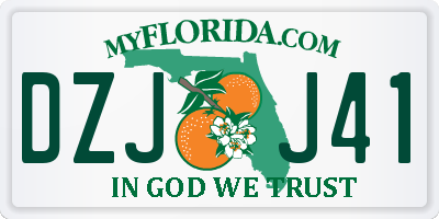 FL license plate DZJJ41