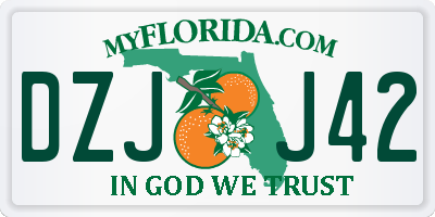 FL license plate DZJJ42