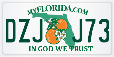 FL license plate DZJJ73