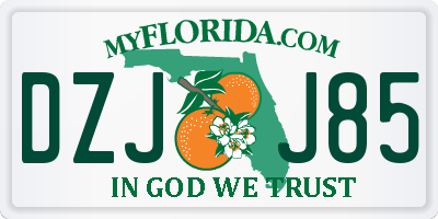 FL license plate DZJJ85