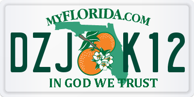 FL license plate DZJK12