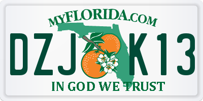 FL license plate DZJK13