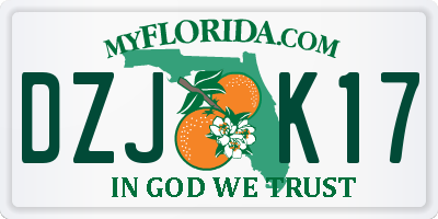 FL license plate DZJK17