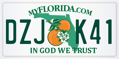 FL license plate DZJK41