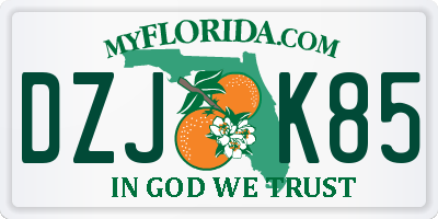 FL license plate DZJK85