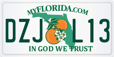 FL license plate DZJL13