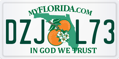 FL license plate DZJL73
