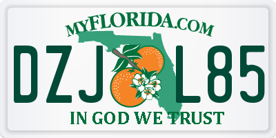FL license plate DZJL85