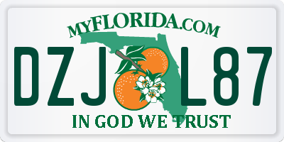 FL license plate DZJL87