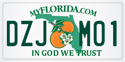 FL license plate DZJM01
